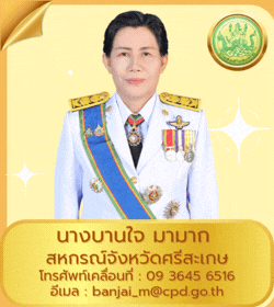 bossbanjai2024