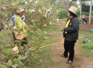 แนะนำส่งเสริม เพื่อจัดทำรายงานผลการลดต้นทุน ... พารามิเตอร์รูปภาพ 1