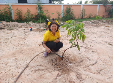 สำนักงานสหกรณ์จังหวัดศรีสะเกษ จัดกิจกรรมปลูกต้นไม้ คนละ 1 ... พารามิเตอร์รูปภาพ 5