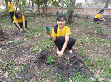 สำนักงานสหกรณ์จังหวัดศรีสะเกษ จัดกิจกรรมปลูกต้นไม้ คนละ 1 ... พารามิเตอร์รูปภาพ 6