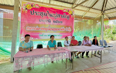 เข้าร่วมประชุมใหญ่สามัญประจำปี สำหรับปีบัญชีสิ้นสุด 31 ... พารามิเตอร์รูปภาพ 1