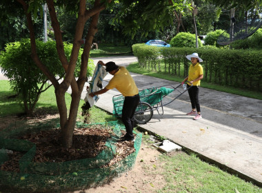 กิจกรรมทำความสะอาด (Big Cleaning Day) พารามิเตอร์รูปภาพ 9