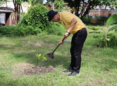 กิจกรรมทำความสะอาด (Big Cleaning Day) พารามิเตอร์รูปภาพ 6