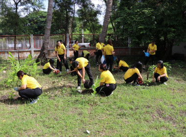 กิจกรรมทำความสะอาด (Big Cleaning Day) พารามิเตอร์รูปภาพ 3