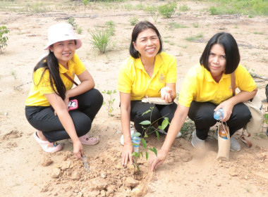 กิจกรรมบำเพ็ญสาธารณประโยชน์ภายใต้โครงการ ... พารามิเตอร์รูปภาพ 18