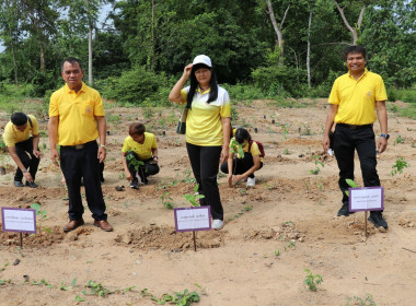 กิจกรรมบำเพ็ญสาธารณประโยชน์ภายใต้โครงการ ... พารามิเตอร์รูปภาพ 10