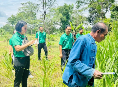 ศึกษาดูงาน การปลูกข้าวอินทรีย์ปลอดสารเคมี การทำปุ๋ยหมัก ... พารามิเตอร์รูปภาพ 2