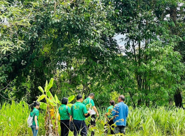 ศึกษาดูงาน การปลูกข้าวอินทรีย์ปลอดสารเคมี การทำปุ๋ยหมัก ... พารามิเตอร์รูปภาพ 8