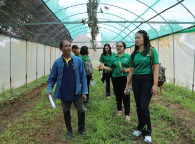 ศึกษาดูงาน การปลูกข้าวอินทรีย์ปลอดสารเคมี การทำปุ๋ยหมัก ... พารามิเตอร์รูปภาพ 11