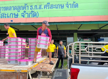 ร่วมกระจาย &quot;มังคุดพรหมคีรี เมืองนคร&quot; จังหวัดนครศรีธรรมราช พารามิเตอร์รูปภาพ 4