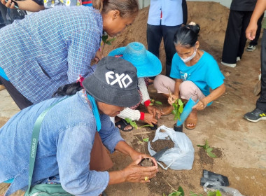 โครงการส่งเสริมการปลูกไม้เศรษฐกิจให้กับสมาชิกสหกรณ์การเกษตรภูสิงห์ จำกัด ... พารามิเตอร์รูปภาพ 6