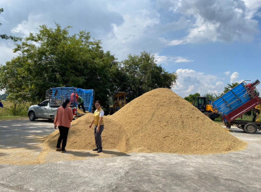 ตรวจสอบการใช้เงินกู้กองทุนพัฒนาสหกรณ์ของสหกรณ์ผู้ปลูกหอมแดงพยุห์ จำกัด ... พารามิเตอร์รูปภาพ 2