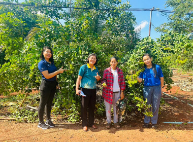 ตรวจเยี่ยม สหกรณ์ผู้ปลูกผักผลไม้กันทรลักษ์ จำกัด พารามิเตอร์รูปภาพ 8