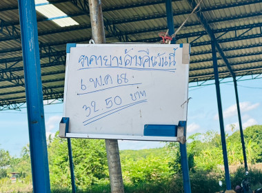 ตรวจเยี่ยม สหกรณ์สวนยางบ้านซำเบ็ง จำกัด พารามิเตอร์รูปภาพ 8