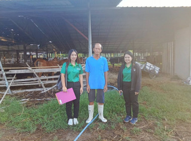 บูรณาการลงพื้นที่ตรวจสอบปริมาณน้ำนมโคและประชากรโค วันที่ 1 พารามิเตอร์รูปภาพ 8