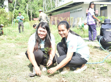 ร่วมกิจกรรมวันต้นไม้ประจำปีของชาติ พารามิเตอร์รูปภาพ 2