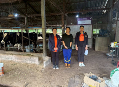 บูรณาการลงพื้นที่ตรวจสอบปริมาณน้ำนมโคและประชากรโค วันที่ 2 พารามิเตอร์รูปภาพ 8