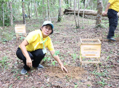 กิจกรรม &quot;จิตอาสาบำเพ็ญสาธารณกุศล สาธารณประโยชน์ ... พารามิเตอร์รูปภาพ 9