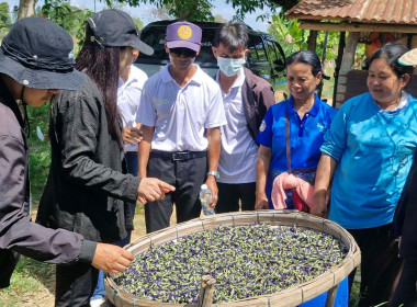 ลงพื้นที่ศึกษาดูงานแปลงส่งเสริมอาชีพของสมาชิกสหกรณ์ พารามิเตอร์รูปภาพ 3