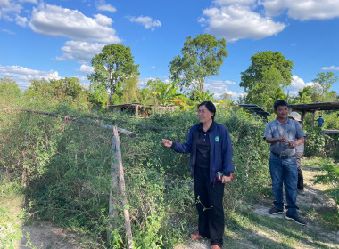 ลงพื้นที่ศึกษาดูงานแปลงส่งเสริมอาชีพของสมาชิกสหกรณ์ พารามิเตอร์รูปภาพ 1