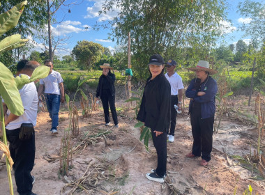 ลงพื้นที่ศึกษาดูงานแปลงส่งเสริมอาชีพของสมาชิกสหกรณ์ พารามิเตอร์รูปภาพ 4