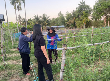 ลงพื้นที่ศึกษาดูงานแปลงส่งเสริมอาชีพของสมาชิกสหกรณ์ พารามิเตอร์รูปภาพ 6