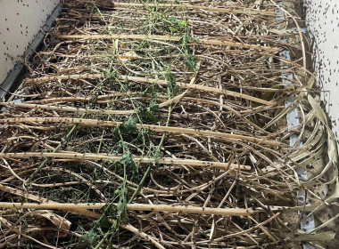 ลงพื้นที่ศึกษาดูงานแปลงส่งเสริมอาชีพของสมาชิกสหกรณ์ พารามิเตอร์รูปภาพ 8