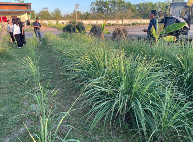 ลงพื้นที่ศึกษาดูงานแปลงส่งเสริมอาชีพของสมาชิกสหกรณ์ พารามิเตอร์รูปภาพ 9