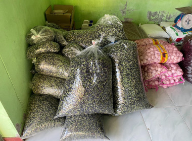 ลงพื้นที่ศึกษาดูงานแปลงส่งเสริมอาชีพของสมาชิกสหกรณ์ พารามิเตอร์รูปภาพ 12