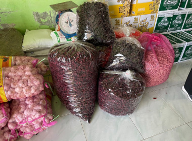 ลงพื้นที่ศึกษาดูงานแปลงส่งเสริมอาชีพของสมาชิกสหกรณ์ พารามิเตอร์รูปภาพ 11