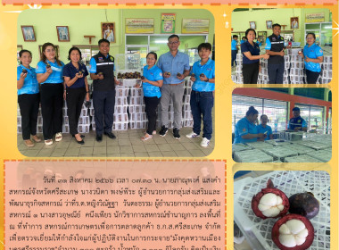 ลงพื้นที่ตรวจเยี่ยมการกระจายมังคุดหวาน จำนวน 3,000 กิโลกรัม พารามิเตอร์รูปภาพ 8