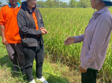 ลงพื้นที่ตรวจเยี่ยมและส่งเสริมอาชีพ สหกรณ์การเกษตรภูสิงห์ ... พารามิเตอร์รูปภาพ 5