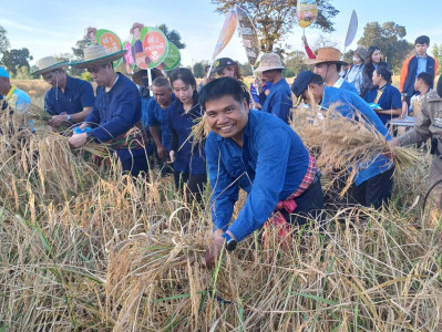 สหกรณ์จังหวัดศรีสะเกษ ร่วมกิจกรรม ย่ำนาร่วมแรง ... พารามิเตอร์รูปภาพ 1