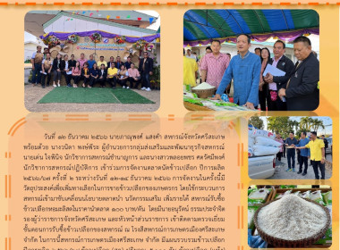 ตลาดนัดข้าวเปลือก ปีการผลิต 2566/67 ครั้งที่ 2 พารามิเตอร์รูปภาพ 8