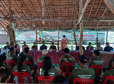 โครงการขับเคลื่อนการเกษตรระดับหมู่บ้านสู่การผลิตสินค้าเกษตรมูลค่าสูง ... พารามิเตอร์รูปภาพ 2