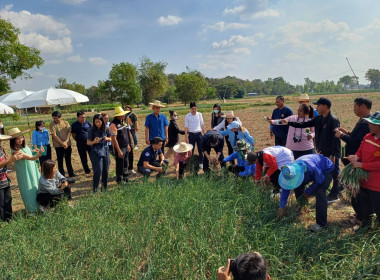 สหกรณ์จังหวัดศรีสะเกษ ร่วมลงพื้นที่เป็นสักขีพยานลงนาม MOU ... พารามิเตอร์รูปภาพ 7