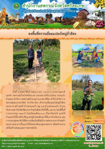 ลงพื้นที่ตรวจเยี่ยมแปลงใหญ่ถั่วลิสง พารามิเตอร์รูปภาพ 1