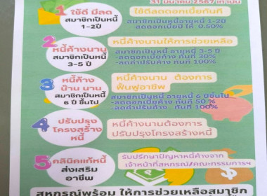 ให้คำแนะนำในการบริหารจัดการหนี้ พารามิเตอร์รูปภาพ 1