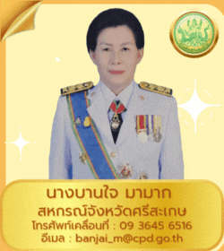 bossbanjai2024